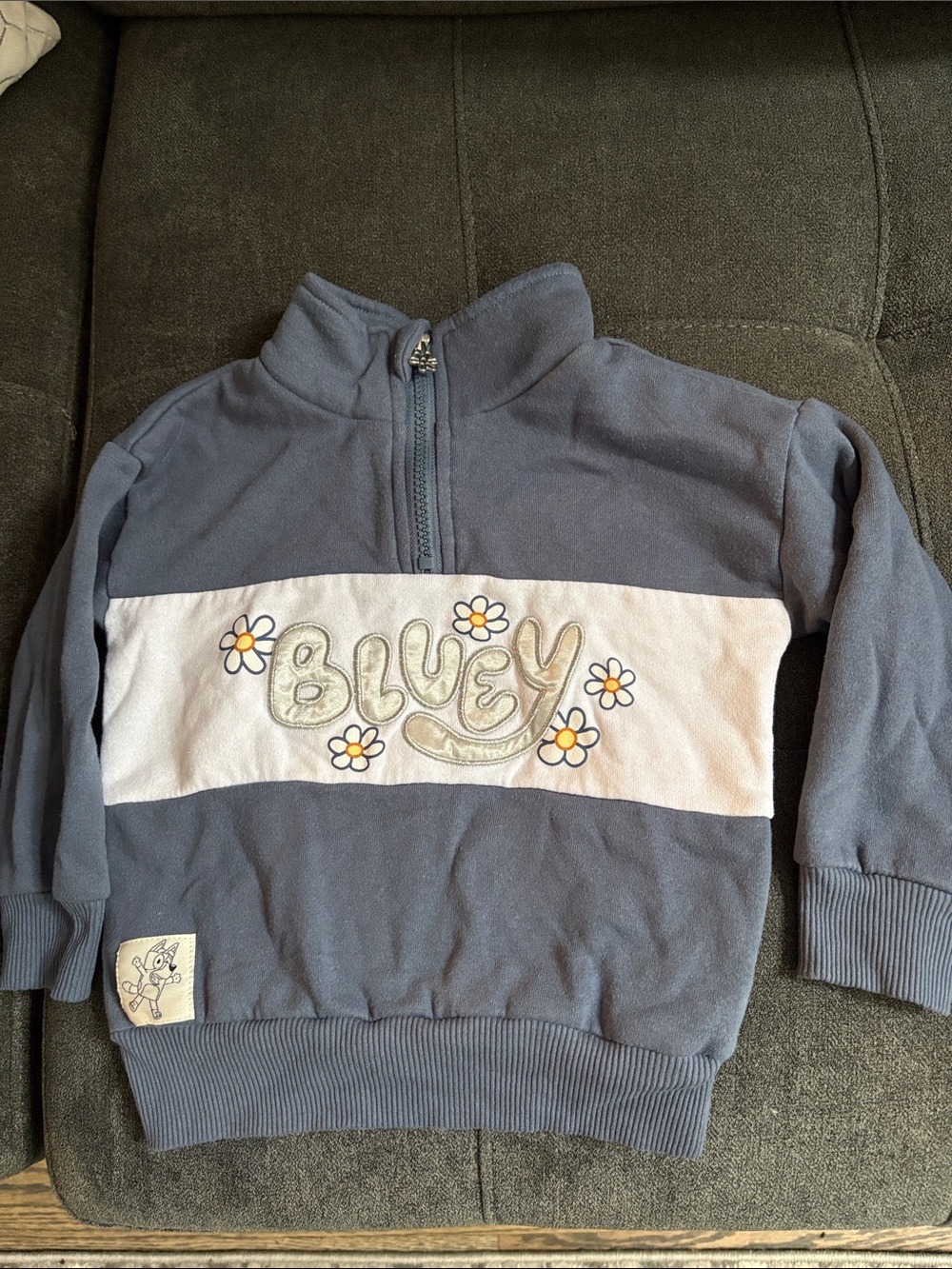 Bluey Blue quarter-Zip Pullover with Daisy Embroidery